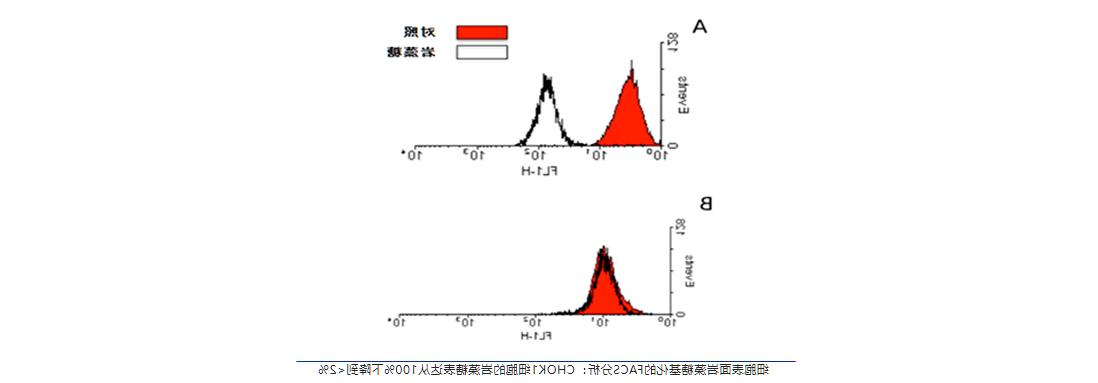 图层-111.jpg