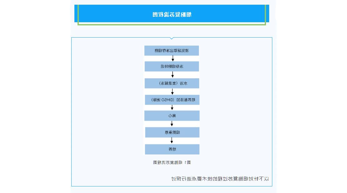 图层-36.jpg