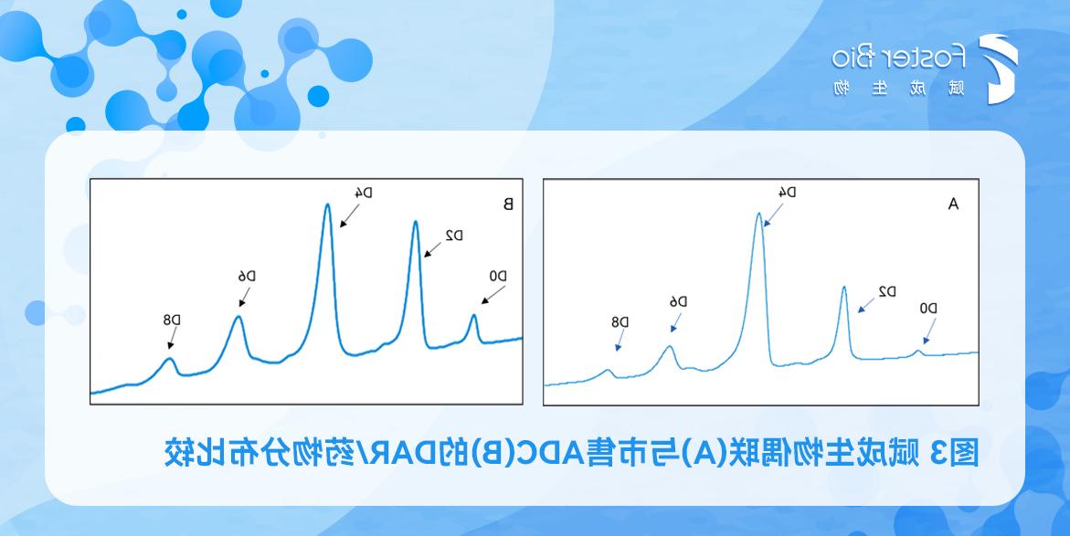 组-1-拷贝-2.jpg